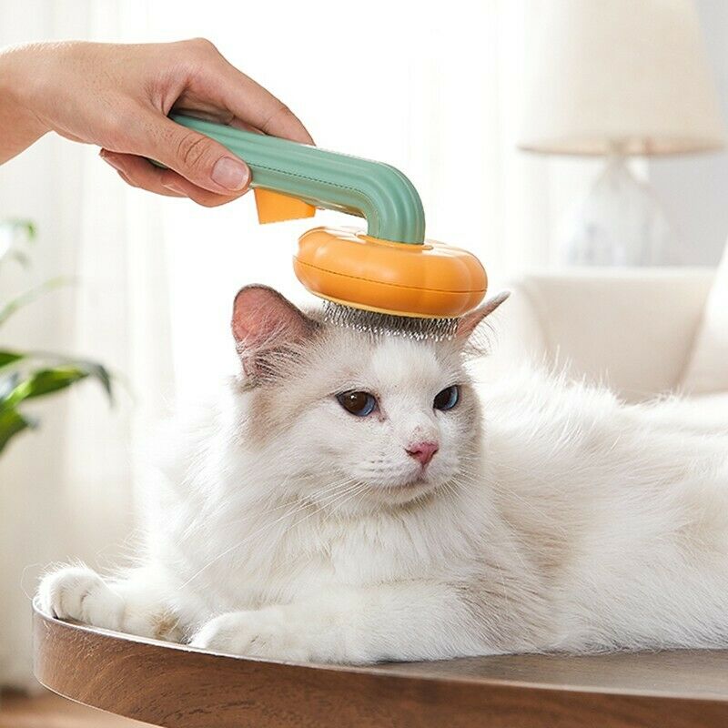 Cepillando un gato