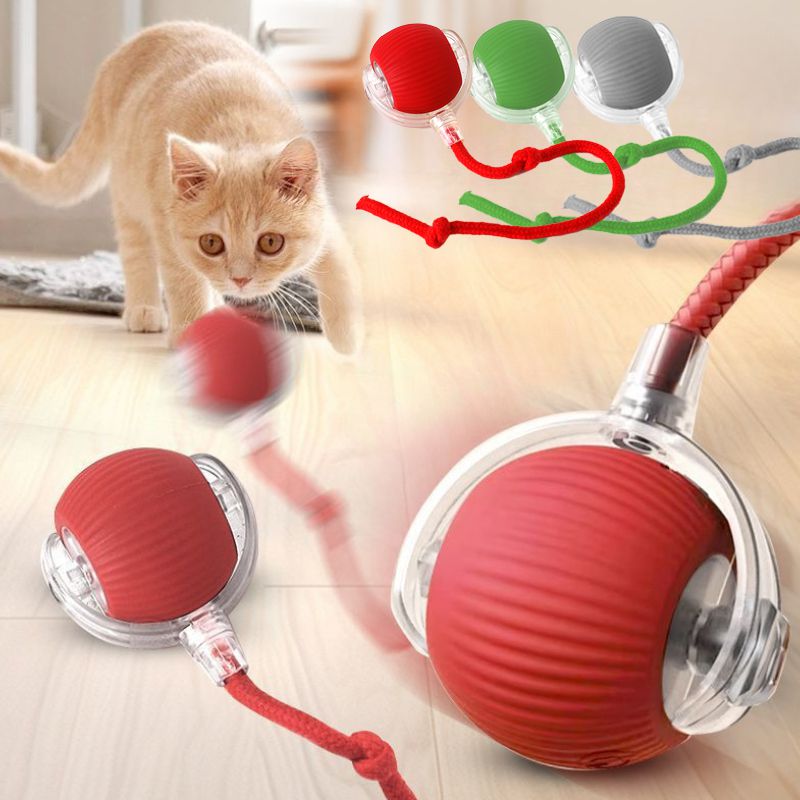 Pelota interactiva del pack