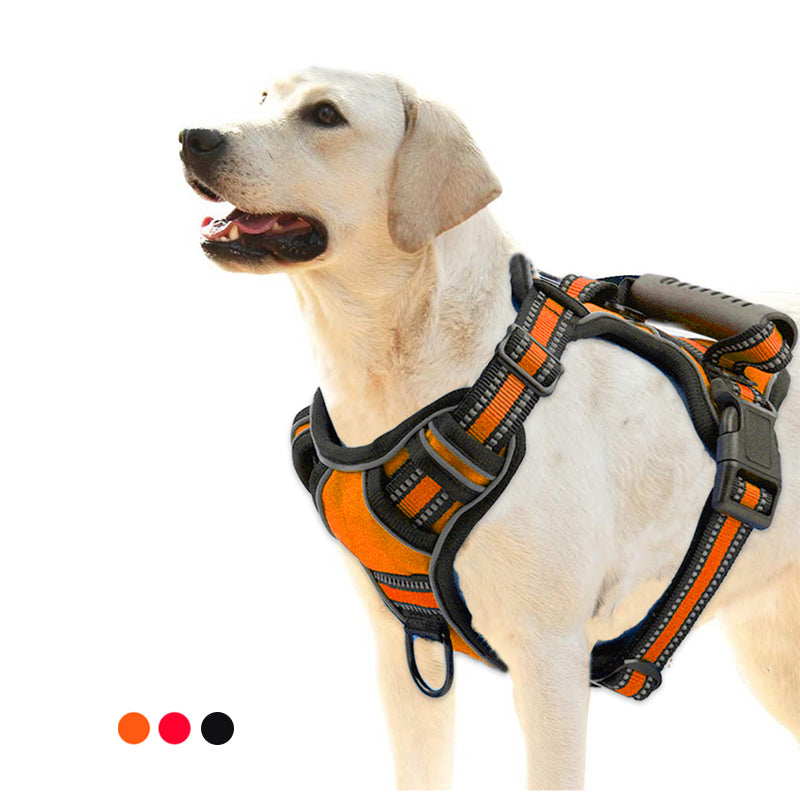Arnés antitirones para perro